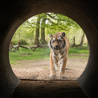 ChatGPT Image May 8, 2026 at 05 46 52 PM ChatGPT Image May 8, 2026 at 05 46 52 PM